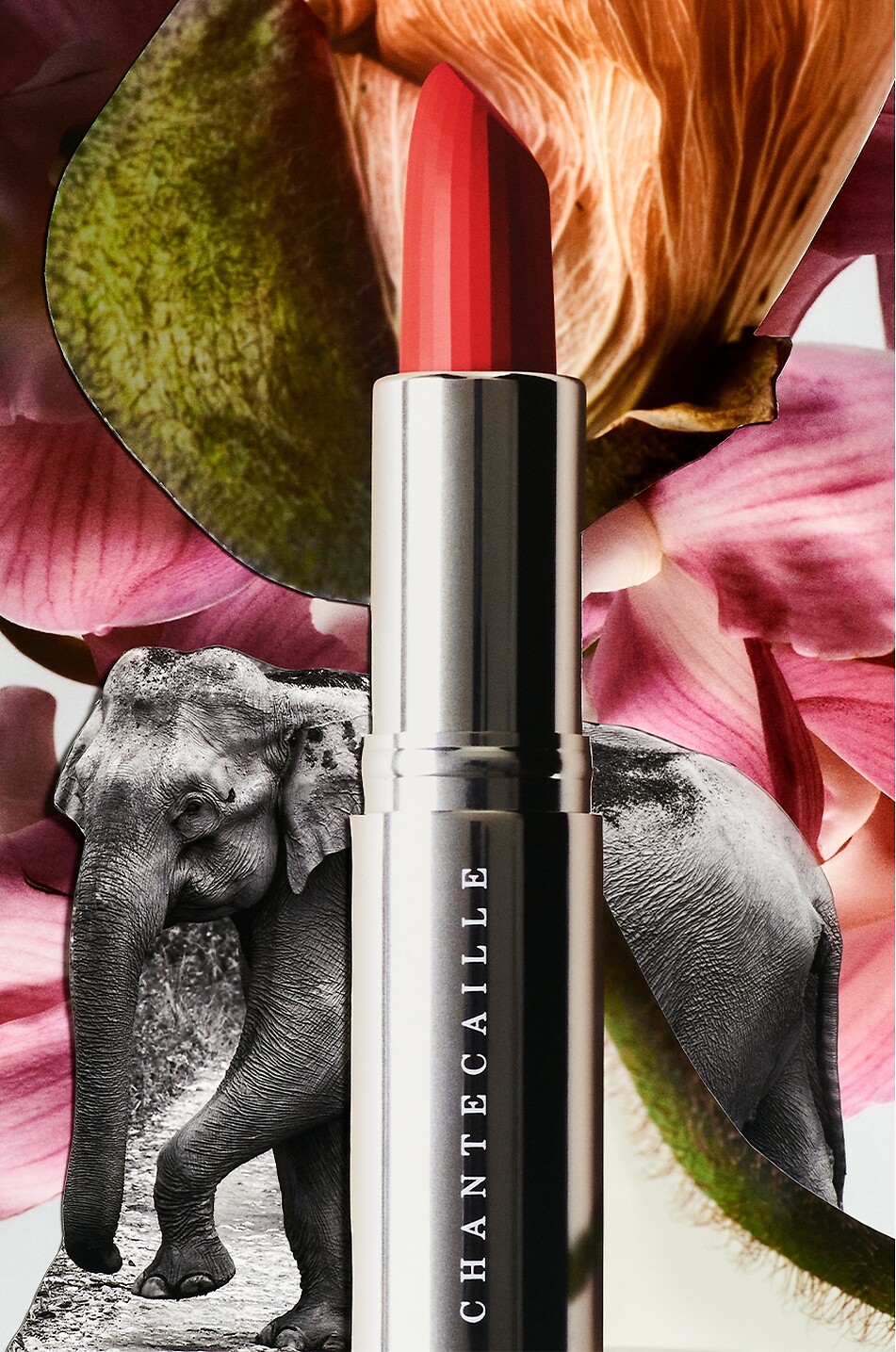 CHANTECAILLE Lip Crème Dragonfruit lipstick Women Colourless 3