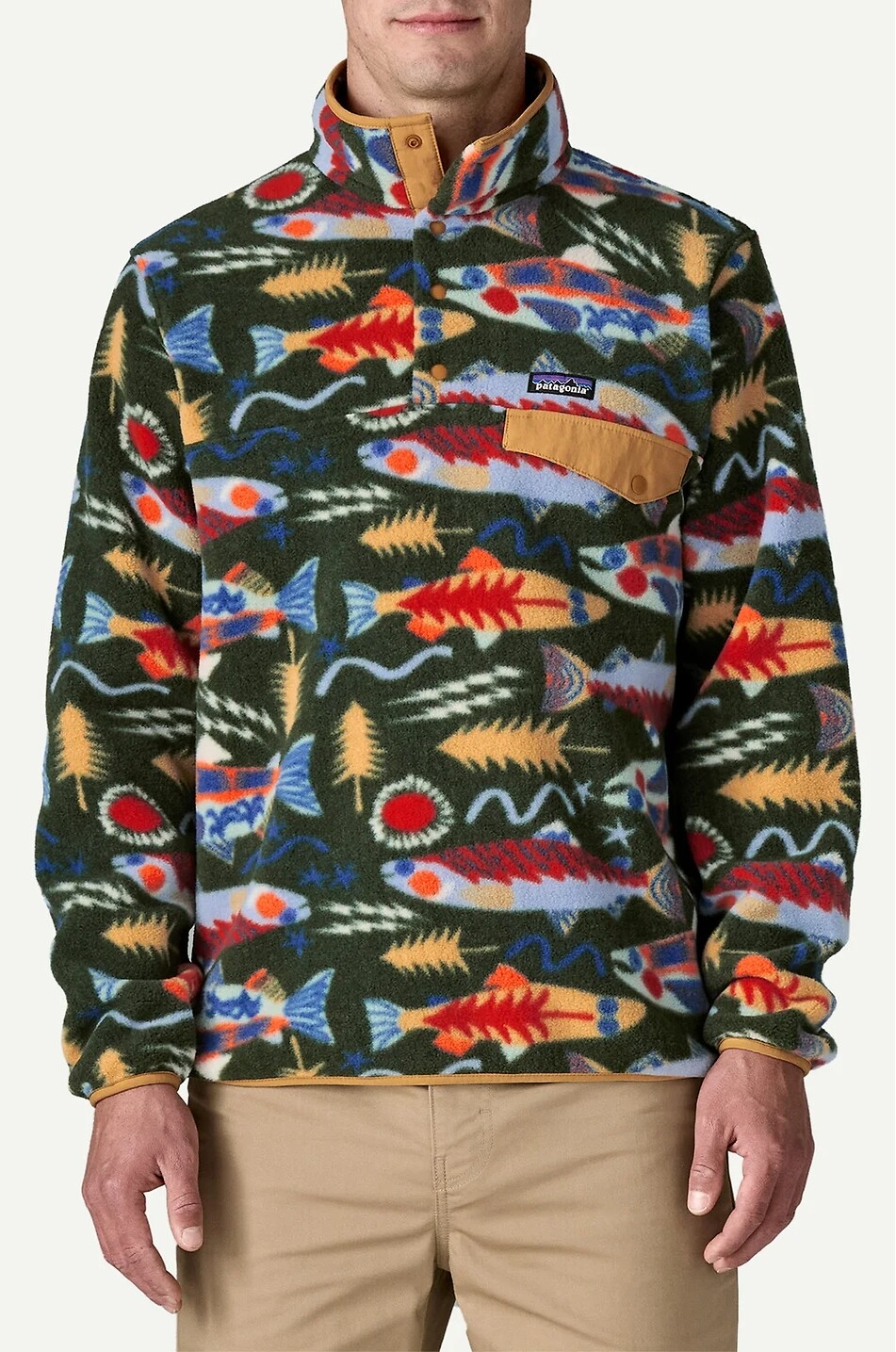 PATAGONIA Fleece-Sweatshirt mit Stehkragen Snap-T Herren BUNT 2