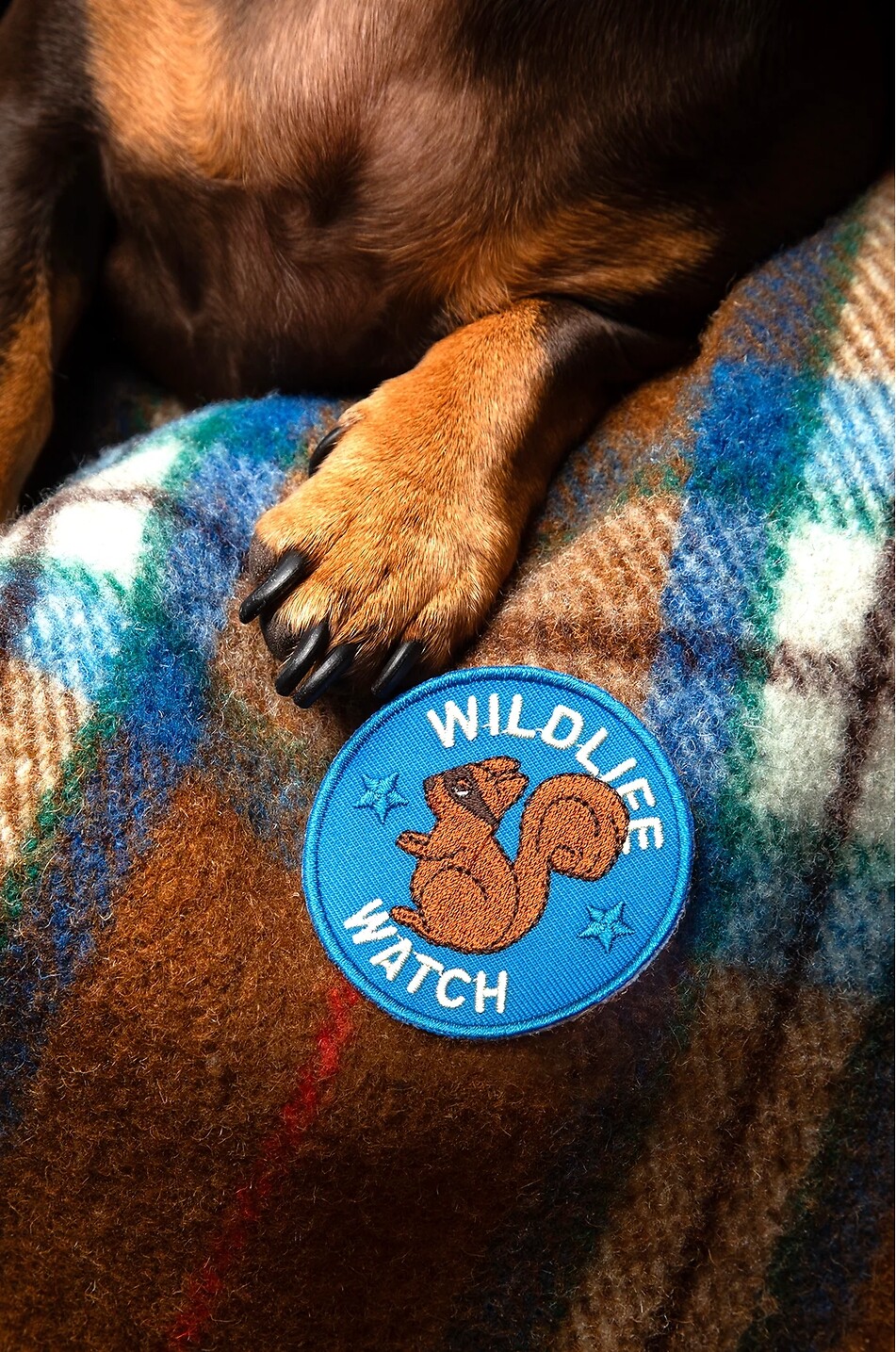 Écusson thermocollant pour chiens Wildlife Watch