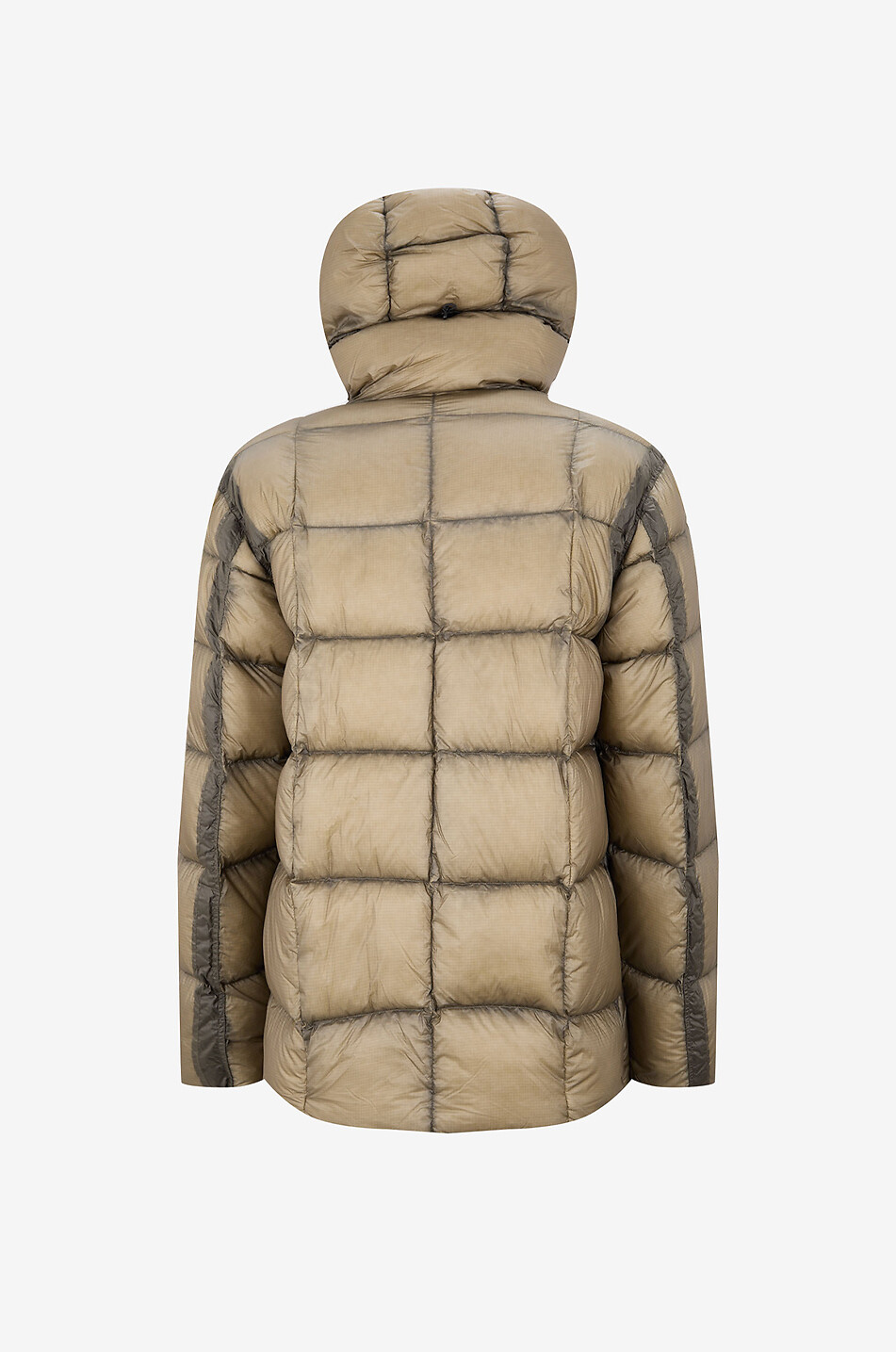 C.P. COMPANY Kurze Steppjacke aus technischem Stoff mit Stehkragen Herren GRÜN 2