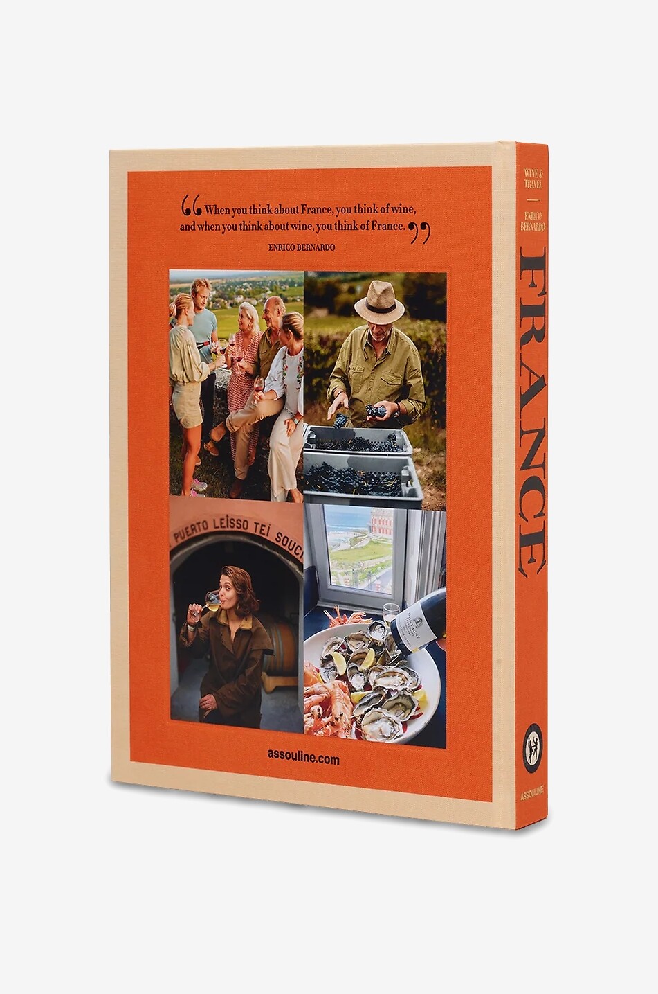 ASSOULINE Illustriertes Reisehandbuch Wine & Travel France Haus BUNT 2