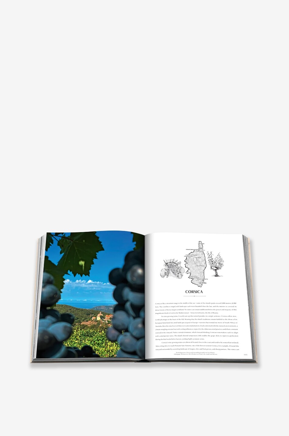 ASSOULINE Illustriertes Reisehandbuch Wine & Travel France Haus BUNT 5