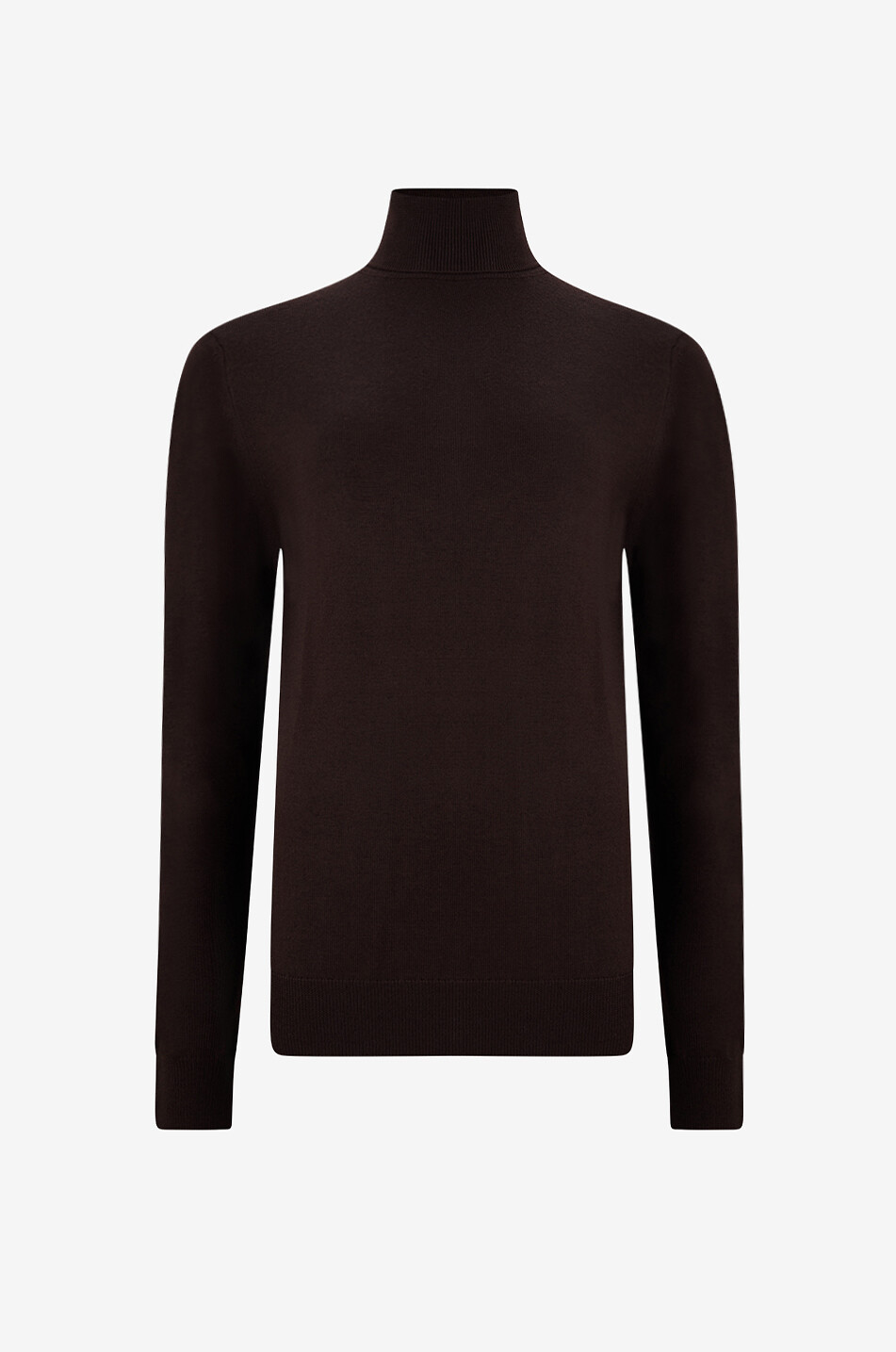 Rollkragenpullover aus Jersey Eve