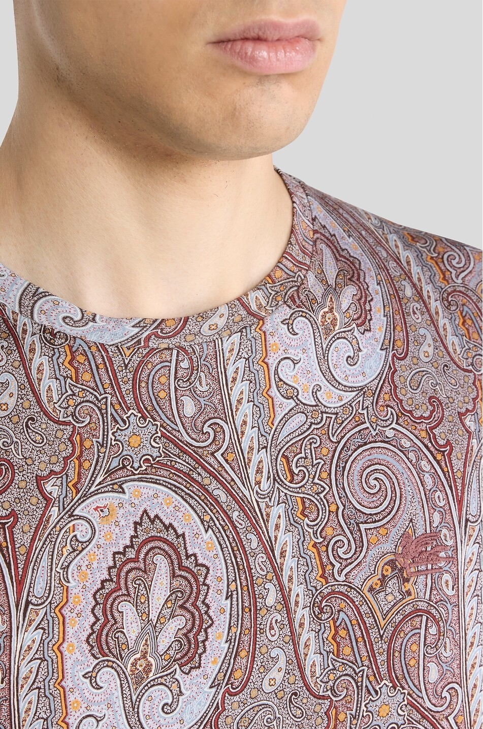 ETRO T-shirt à col rond en jersey motif paisley Homme MARRON MOYEN 8