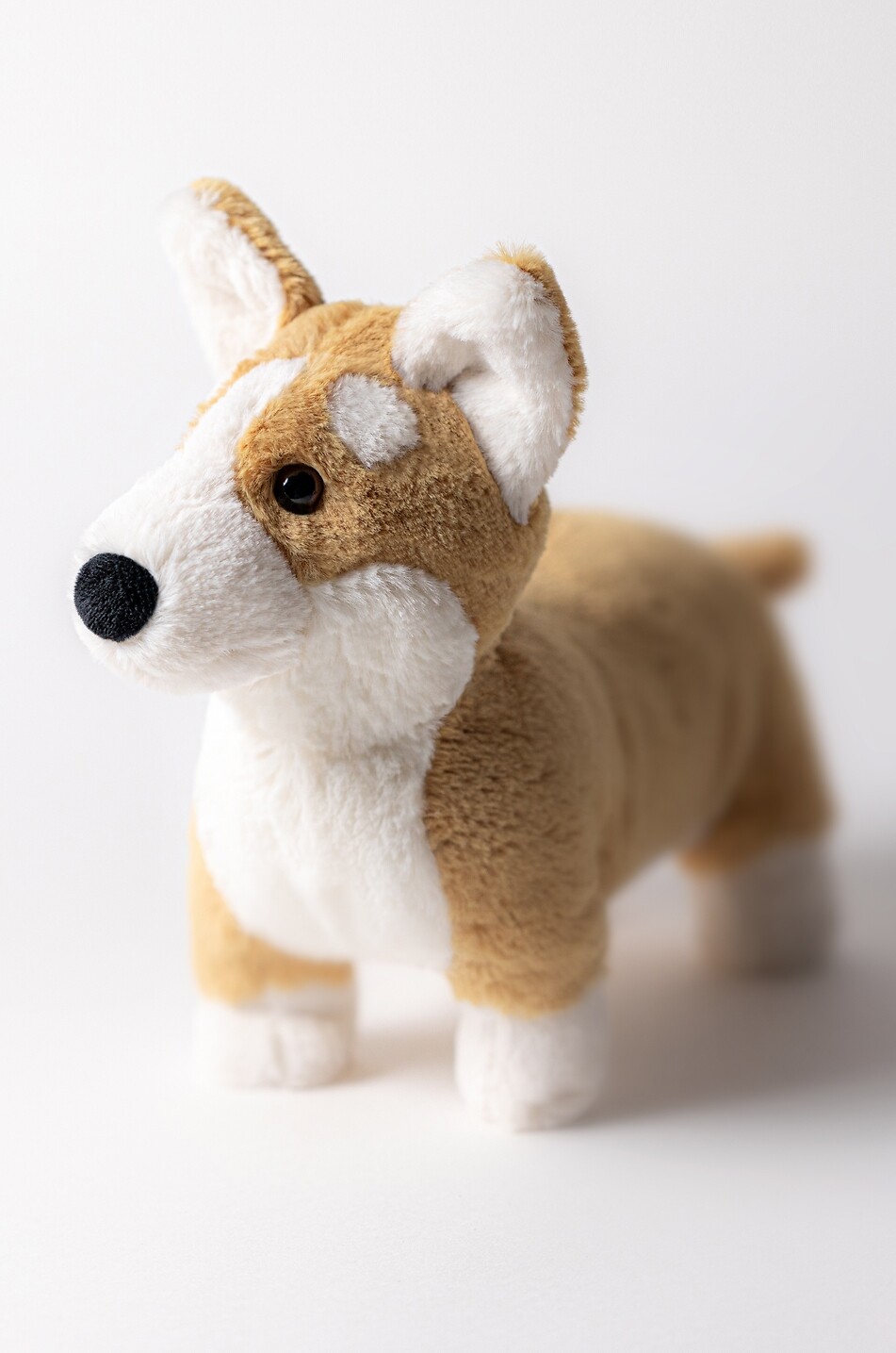 JELLYCAT Betty Corgi dog soft toy  BEIGE 3