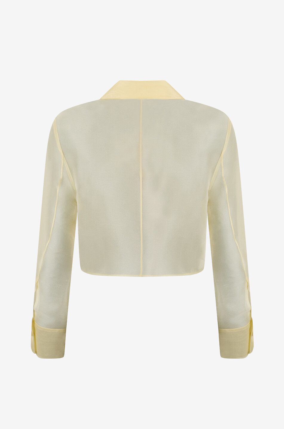 Transparentes Hemd aus Seidenorganza Jasen