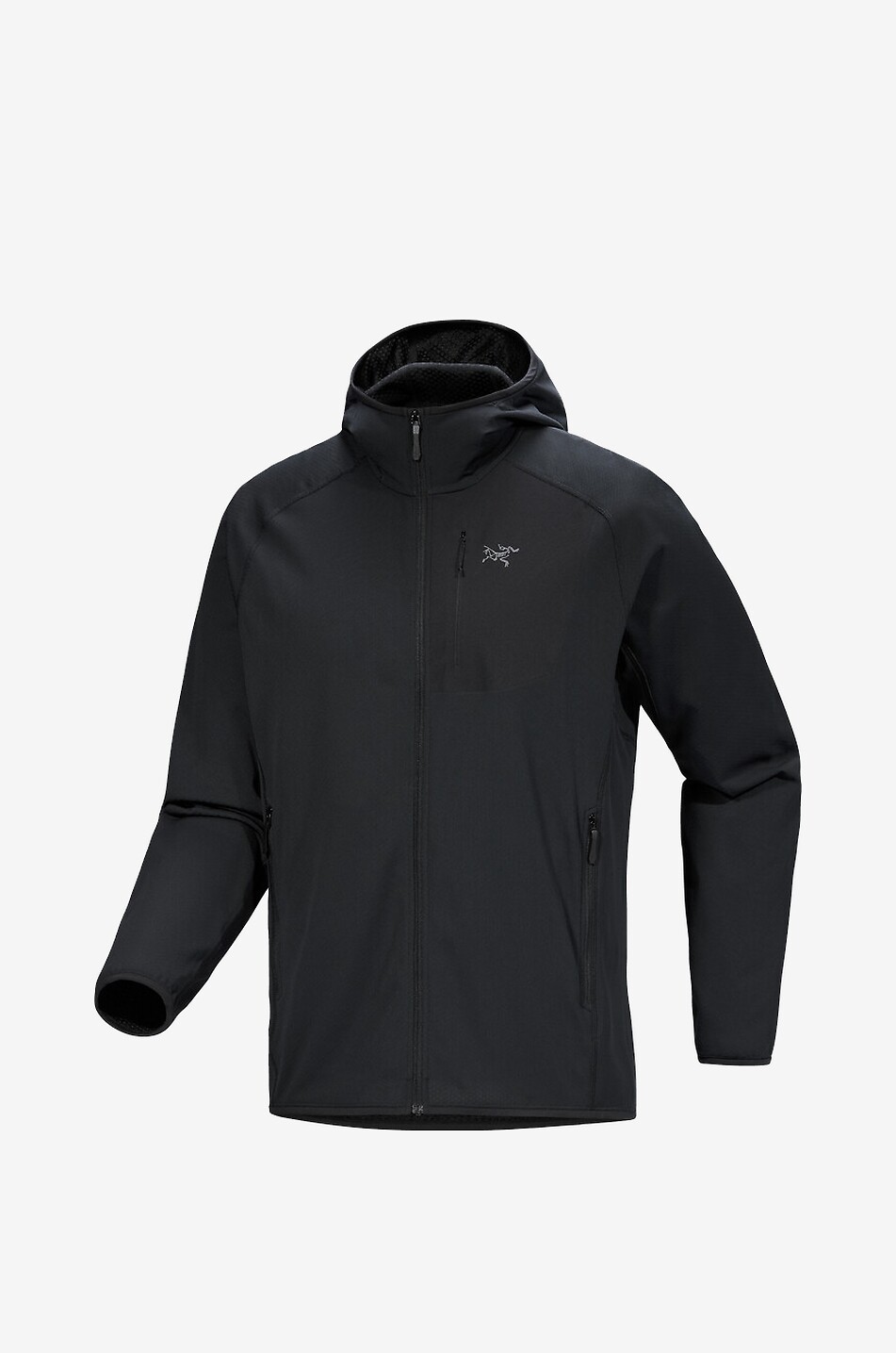 ARC'TERYX Veste à capuche en polaire Delta Homme NOIR 1