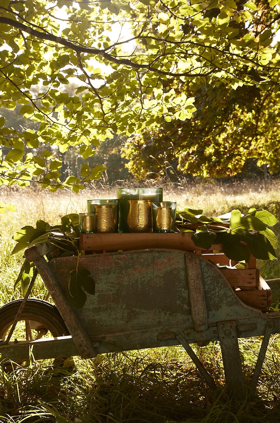 TRUDON Duftkerze Figuerie - 800g Haus Farblos 3