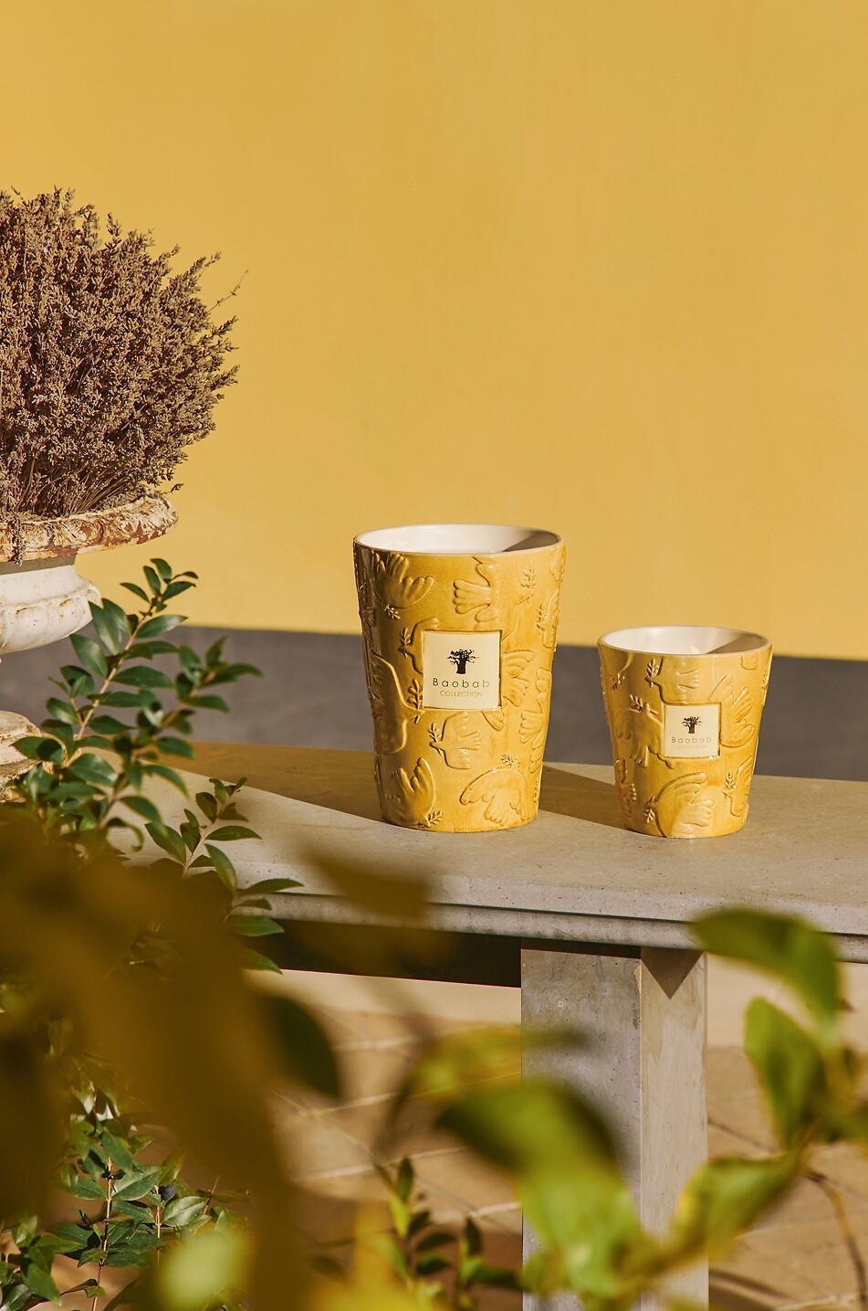BAOBAB COLLECTION Bougie parfumée Paz Dove - Max 16 Maison Incolore 5