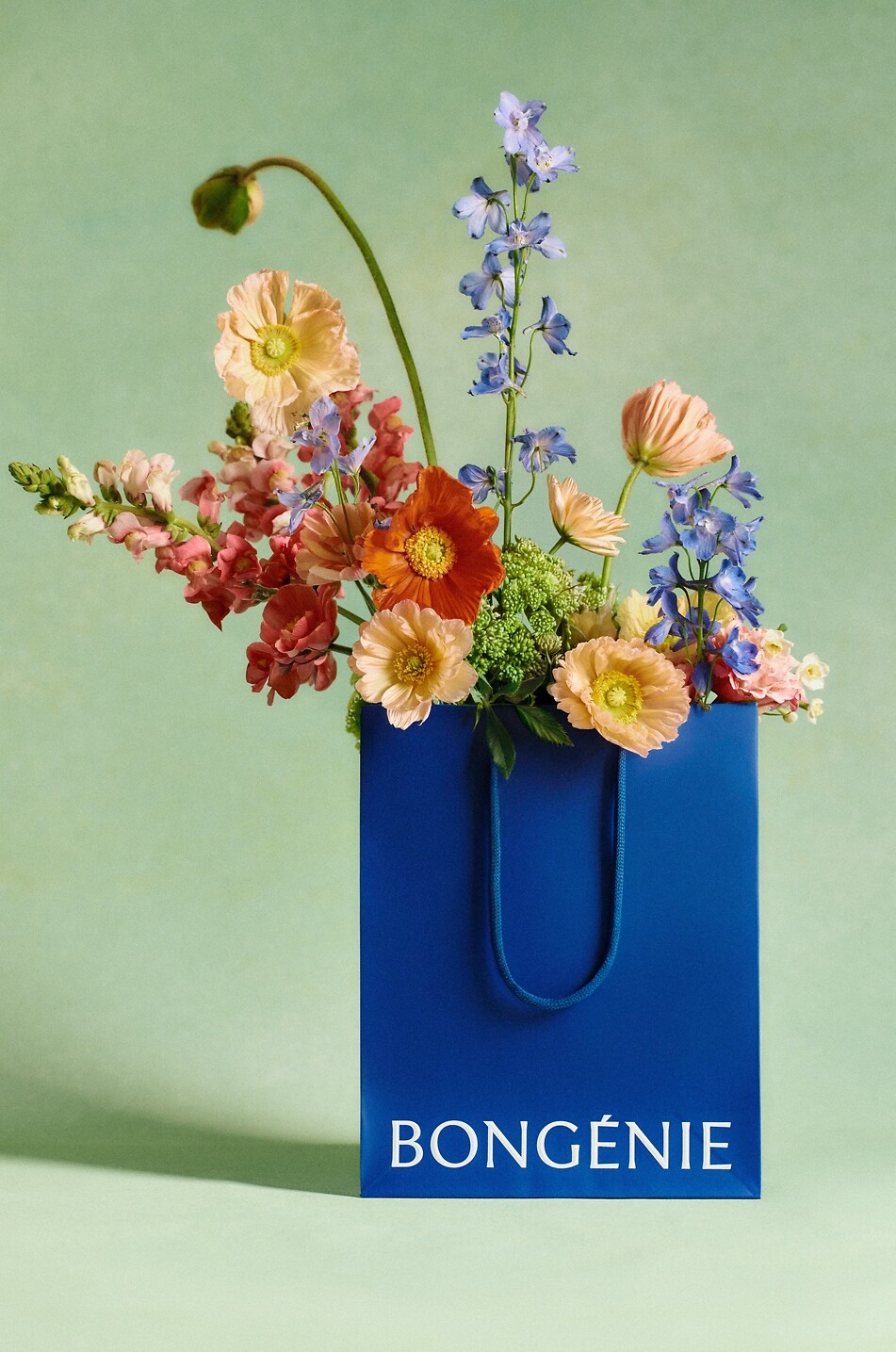 BONGENIE BG Club eGift card  Colourless 4