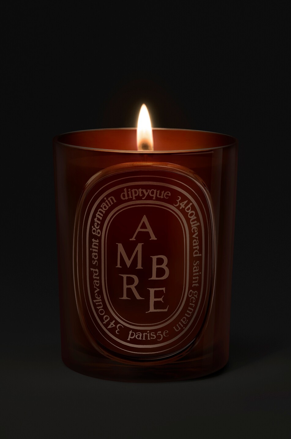 DIPTYQUE Bougie parfumée Ambre - 300g Maison Incolore 3