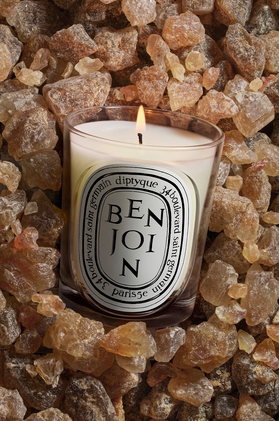 DIPTYQUE Duftkerze Benjoin - 190g Haus Farblos 3