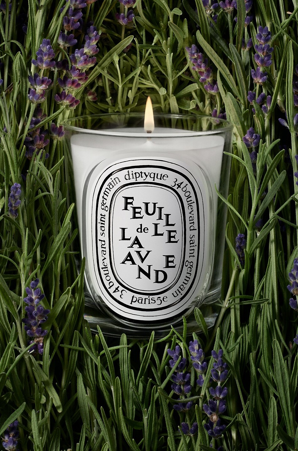 DIPTYQUE Duftkerze Feuille de Lavande - 190g Haus Farblos 3