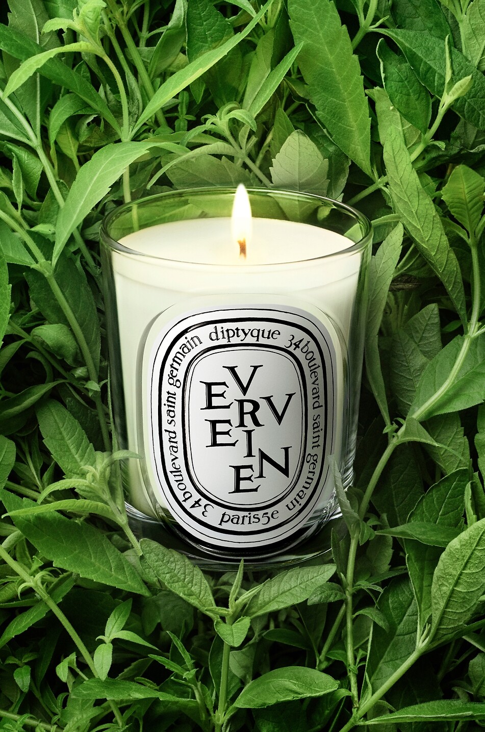 DIPTYQUE Duftkerze Verveine - 190g Haus Farblos 3