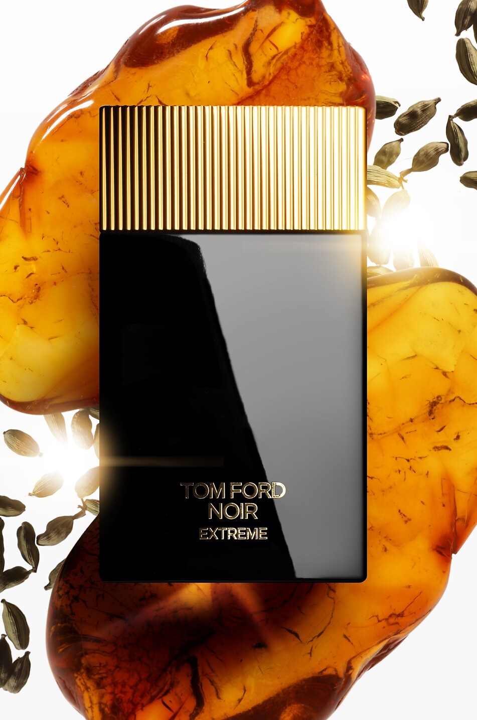 TOM FORD Eau de parfum Noir Extreme - 150ml Homme Incolore 2