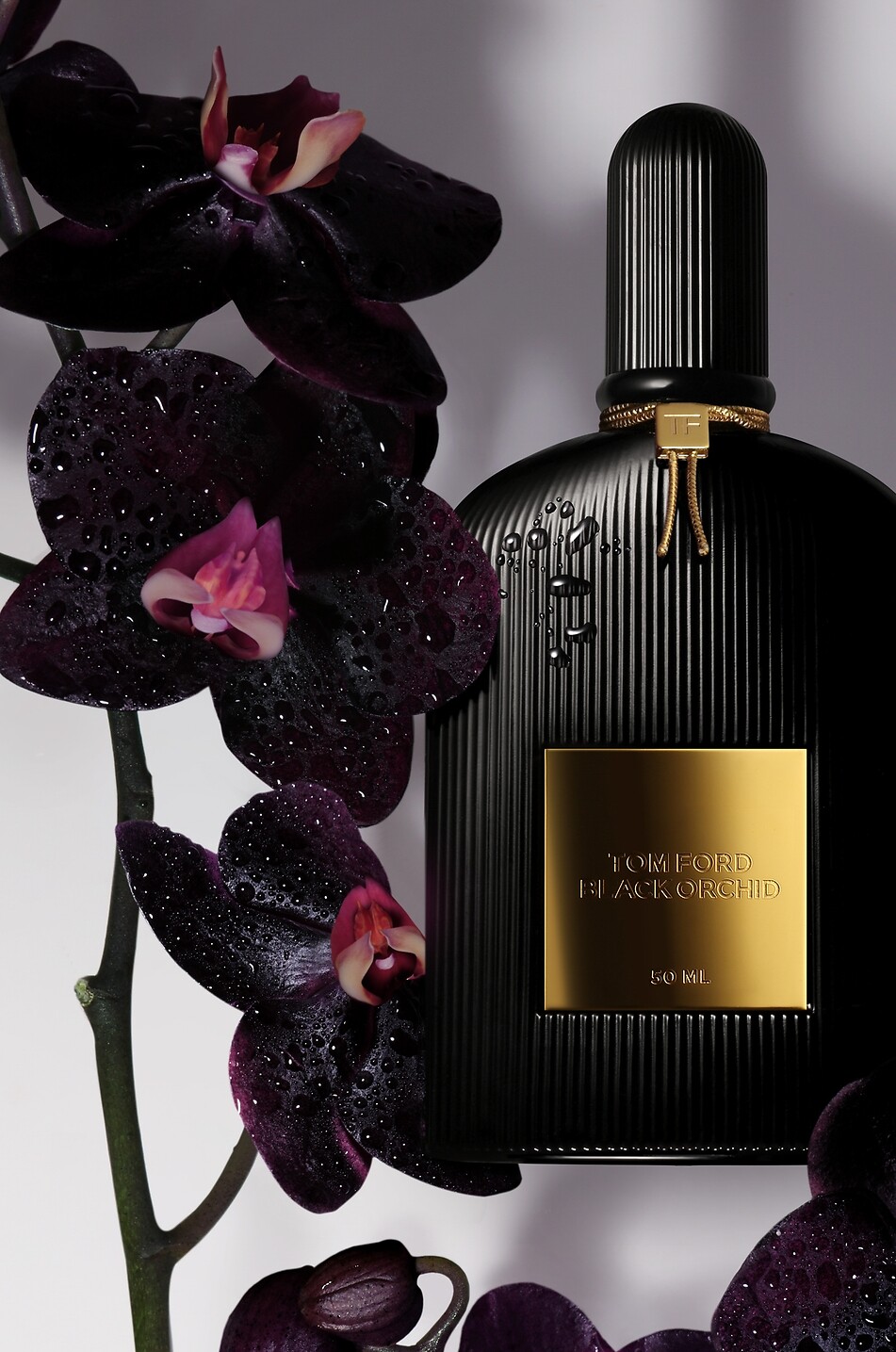 TOM FORD Eau de parfum Black Orchid - 50ml Femme Incolore 2