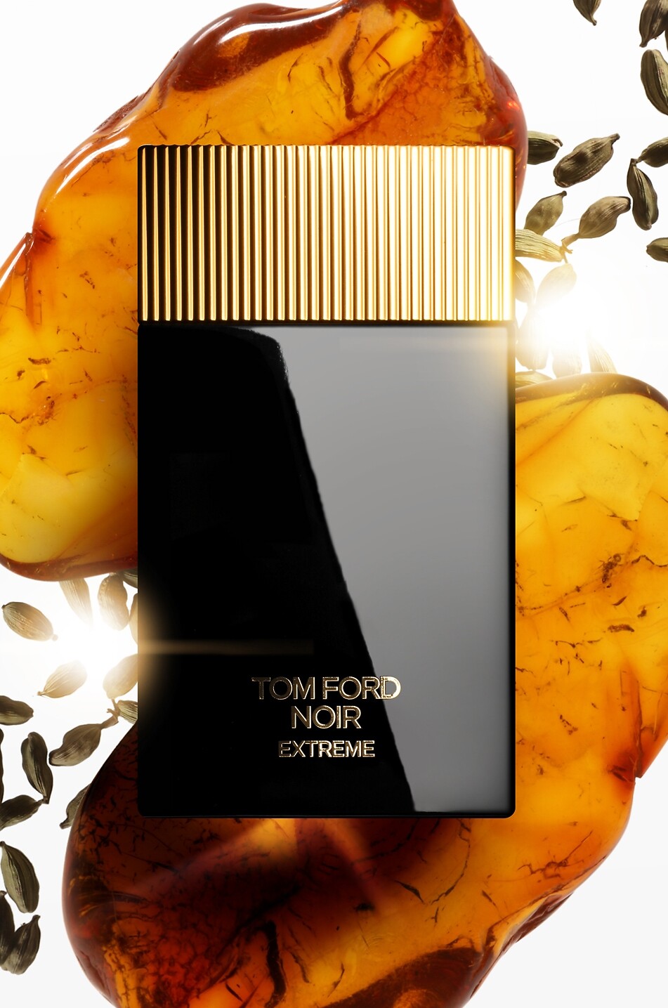 TOM FORD Eau de parfum Noir Extreme - 100ml Homme Incolore 2