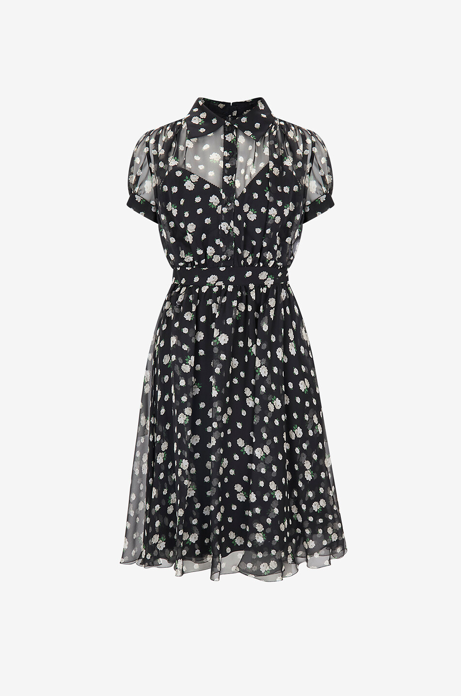 DOLCE & GABBANA Floral silk shirt-collar puffed-sleeve dress Women BLACK 1