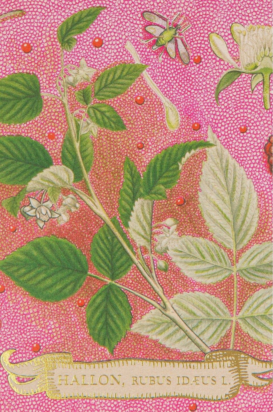 ARCHIVIST Boîte d'allumettes décoratives Rose Framboise Matches Maison MULTICOLORE 4