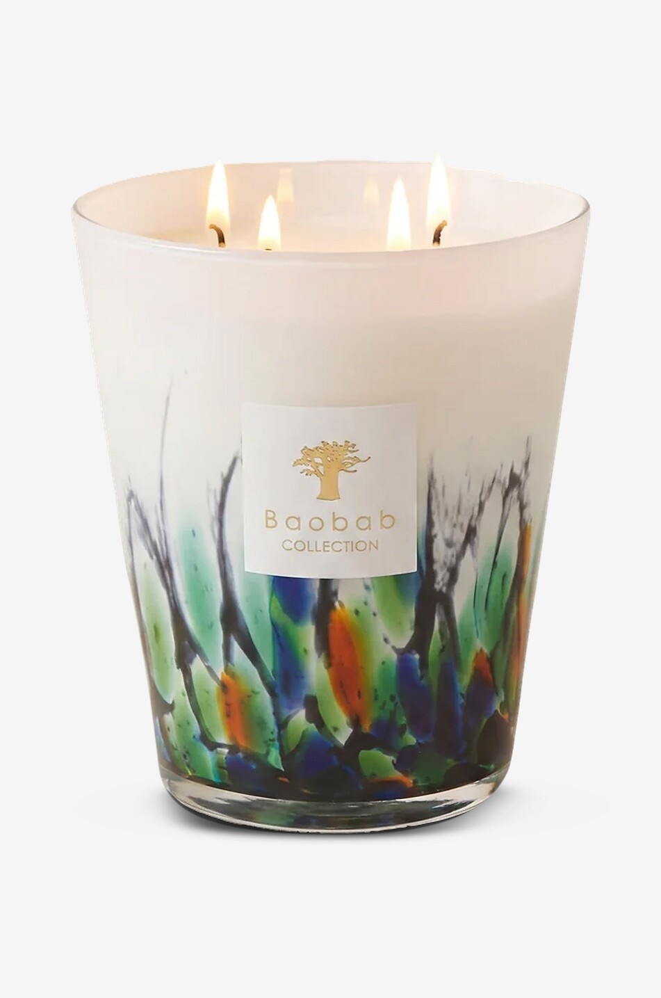 BAOBAB COLLECTION Bougie parfumée Rainforest Amazonia - Max 16 Maison Incolore 1