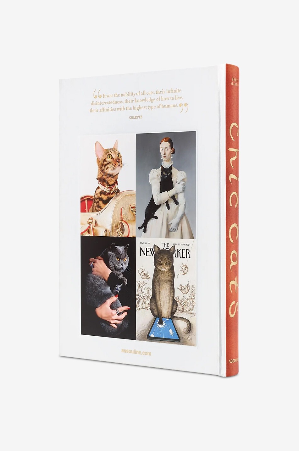 ASSOULINE Chic Cats illustrated book Home MULTI COLOURED 2