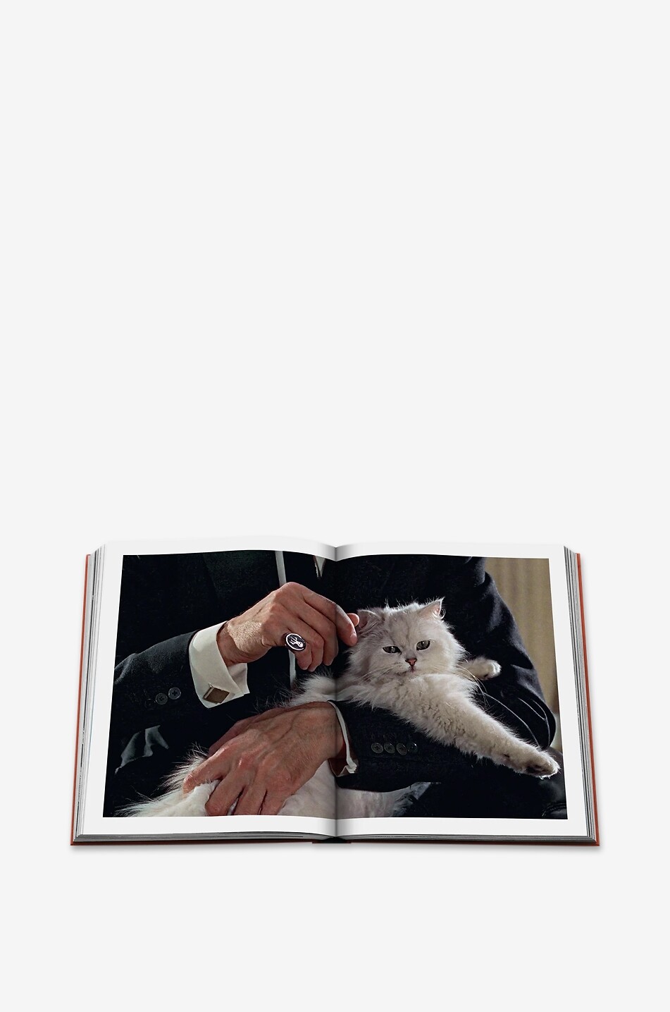 ASSOULINE Chic Cats illustrated book Home MULTI COLOURED 6