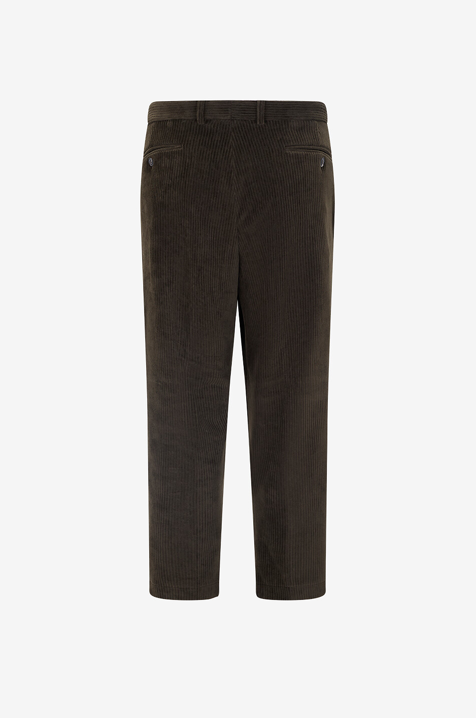 CIRCOLO 1901 Pleated cotton blend corduroy trousers Men DARK BROWN 2
