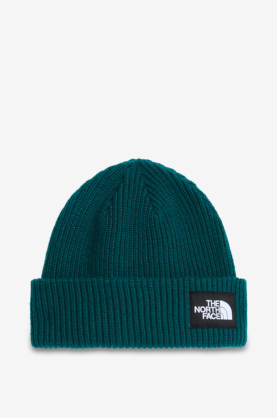 THE NORTH FACE Salty Lined FlashDry™ lined rib knit ski beanie Men DARK GREEN 1