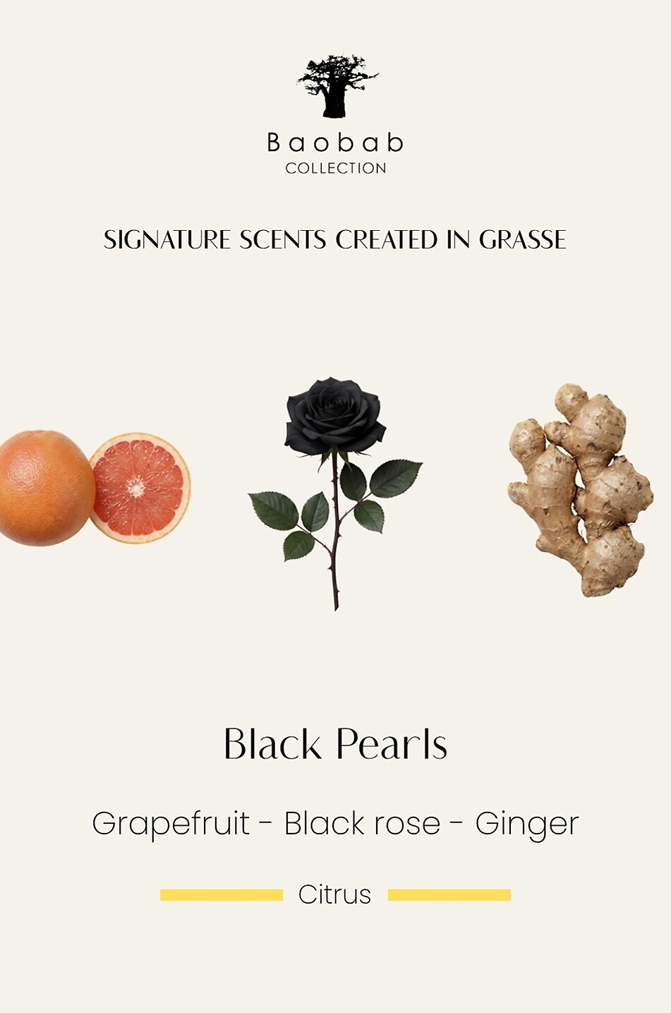 BAOBAB COLLECTION Black Pearls scented candle - MAX08 Home Colourless 7